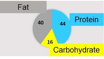 Is a high protein diet with cod more efficient than a high protein diet with pork to reverse obesity?