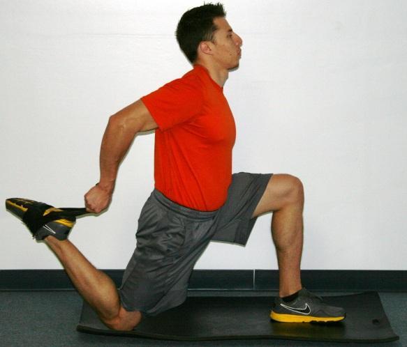 3 Lunge Position Rectus Femoris & Iliopsoas Self-Stretch The rectus femoris acts as a knee extensor and hip flexor as it crosses both joints.