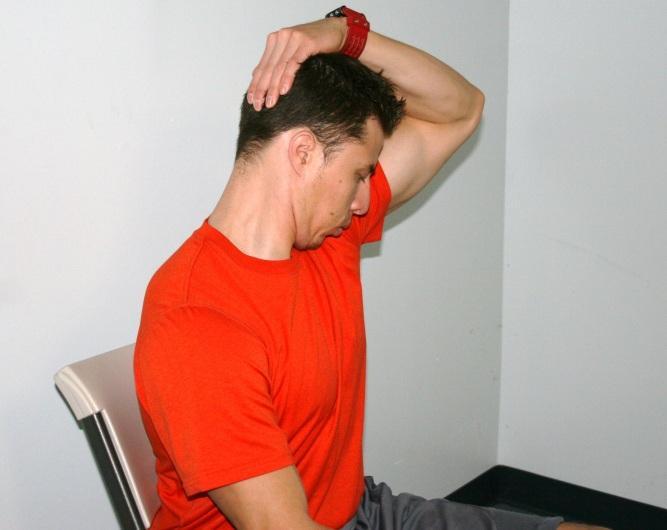 5 Seated Levator Scapulae Self-Stretch The levator scapula functions bilaterally to extend the head and neck and assist in scapular elevation.