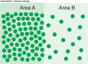 Diffusion along concentration gradient (Passive) = Solute molecule Diffusion from area A to area B Diffusion