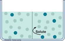 Membrane (permeable to H 2 O but impermeable to solute) Side 1 Side 2 H 2 O H 2 O moves from side 1 to side 2 down