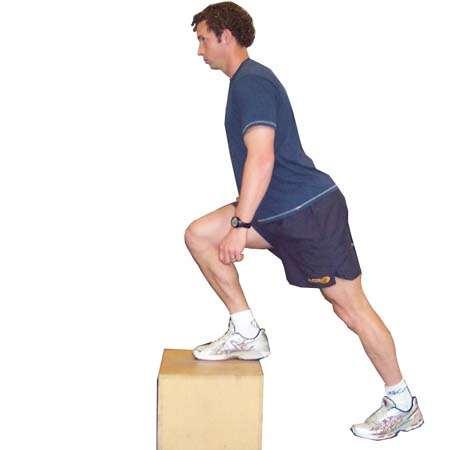 Step Up - Gluteal Endurance Stand with one foot forward on a low box Lean torso forward over
