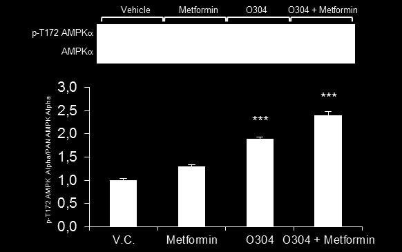 On-target O304+/-Metformin, not Metformin,