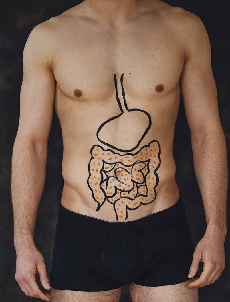 HEALTHY GUT MICROFLORA What is the purpose of stocking your gut with billions of invisible good guys?