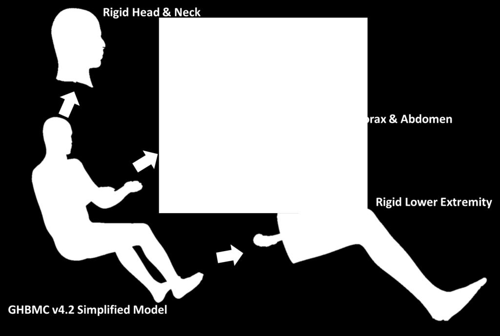 The simplified full body model allowed for faster run time in order to perform a greater number of simulations than with the full detailed model.