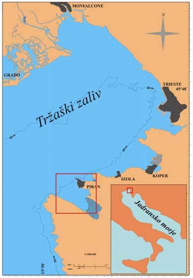 18 Slika 3: Geografska lega Tržaškega zaliva v Jadranskem morju (foto: arhiv MBP) 3. 2 VZOREC 3. 2. 1 Vzorčenje Vzorec je bil odvzet 1. 7.