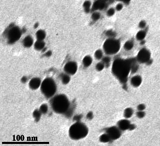 153 3. Results and discussion Silver nanoparticles used: TEM measurements were used to determine the morphology and shape of nanoparticles.tem micrographs (Fig.