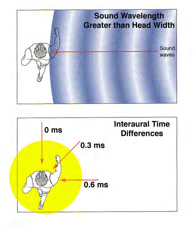 Interaural Time Differences (ITDs) For wavelengths greater than head diameter, there is no sound shadow, but the sound may reach the two ears at slightly