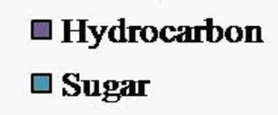 9,12-Octadecadienoic acid (Z,Z) Lupeol