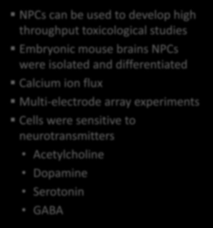 NPCs for toxicological studies NPCs can be used to develop high throughput toxicological studies Embryonic mouse brains NPCs were isolated and differentiated Calcium ion