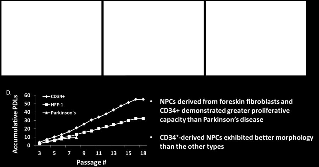 Morphology and growth curves of NPCs derived from CD34 +,