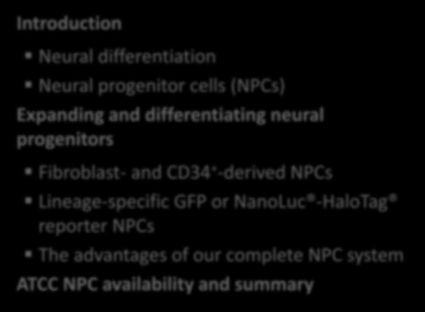 Overview Introduction Neural differentiation Neural progenitor cells (NPCs) Expanding and differentiating neural progenitors Fibroblast- and CD34