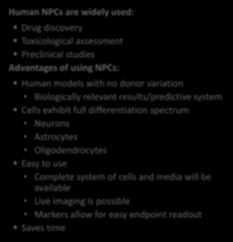 Advantages of using NPCs: Human models with no donor variation Biologically relevant results/predictive system