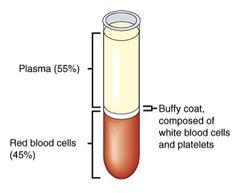 Blood has a lot of important functions to perform in the body.
