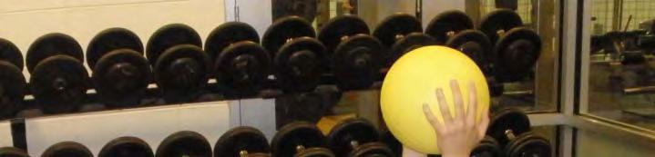 Weighted Stability Ball Crunch
