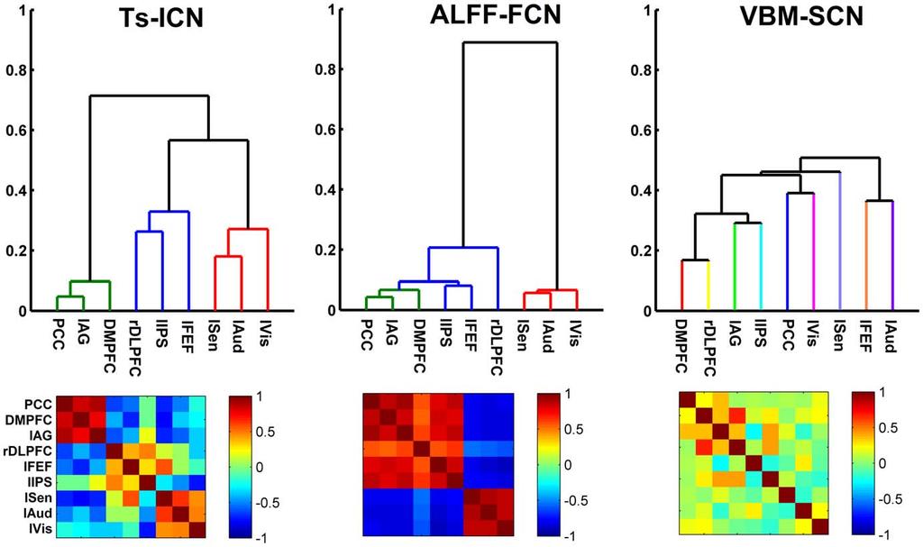Figure 2. Hierarchical clustering analysis of ALFF-FCNs, TS-ICNs and VBM-SCNs.
