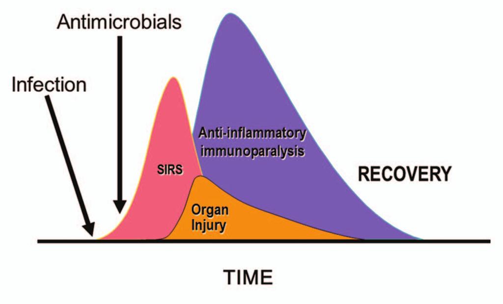 In this model, sepsis, severe sepsis (sepsis with organ failure), and septic shock (sepsis with cardiovascular failure) are considered to be related disorders of increasing severity but sharing a