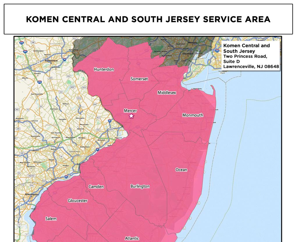 Figure 1.2. Susan G. Komen Central and South Jersey service area For many of the key demographic and socioeconomic indicators (e.g. minority populations, educational