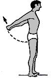 with the feet placed on the ground directly underneath the shoulders. Hold the hands together and pull the arms up above the head. Push the torso sideways while keeping the arms above the shoulders.