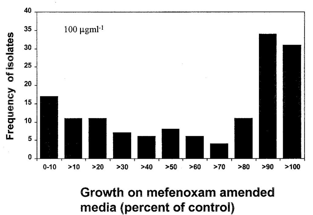 In ll, 150 isoltes collected during the summer of 1997 were evluted for resistnce to mefenoxm (Tble 1). Isoltes were grown on clrified V8 juice gr for 10 dys t 24 C in mbient light prior to use.