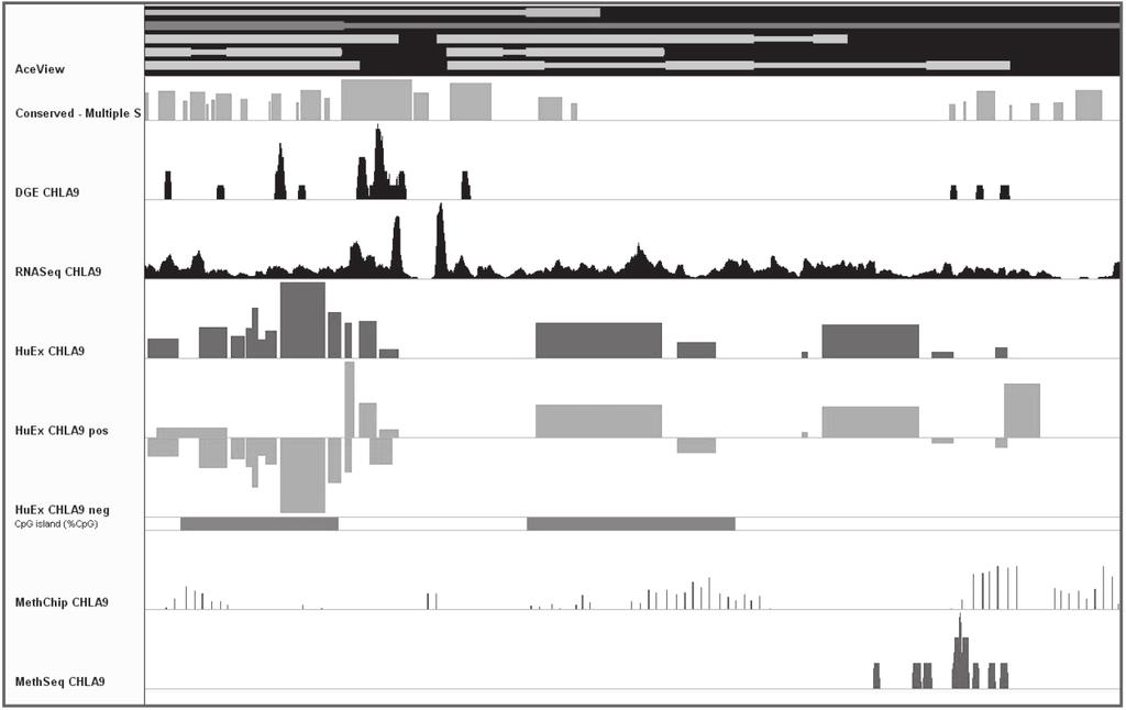 Figure 9: Composite genomic data from a ~4,000 base region of chromosome 7 in Ewing sarcoma.