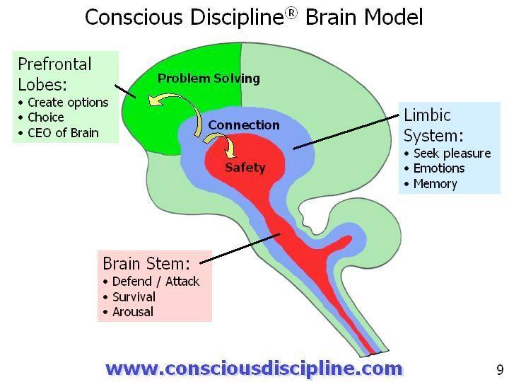 Brain State Model--