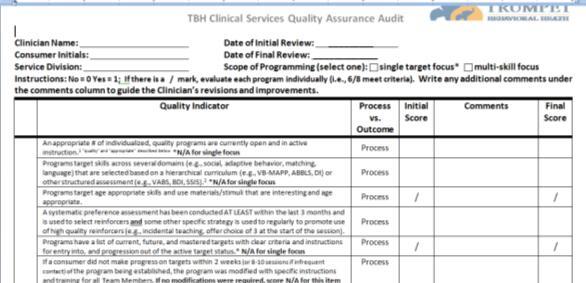 Clinical Standards Intervention Interface with Consumers Data Collection and Progress Monitoring Transition Planning Ethics