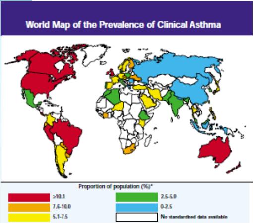 to airway epithelium Excess mucus ASTHMA: Inflamed bronchial tube NORMAL bronchial tube Global Burden of Asthma Prevalence: 300 million people