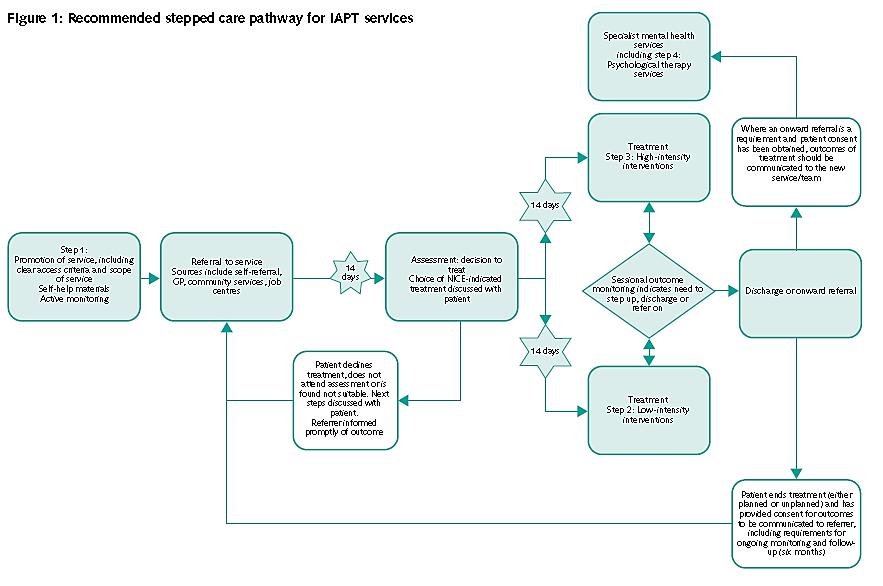 Access to Services In order to access IAPT services, an individual requires a referral.