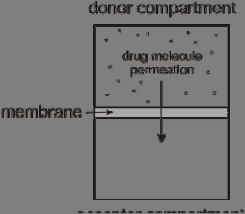 The importance of and different approaches to permeability determination fraction of the drug molecule could be absorbed through cell membranes.