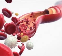 HEMATOLOGICAL AGENTS Hematological agents are used to treat clotting disorders and blood disorders.