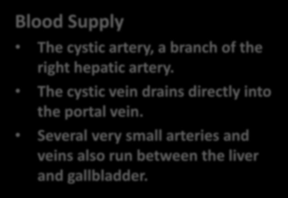Blood Supply The cystic artery, a branch of the right hepatic artery.