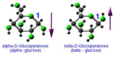orientations of molecule groups. eg. & galactose: ydroxyl groups are mirror images of one another glucose ( above the plane) ß glucose ( below the plane) Fig.
