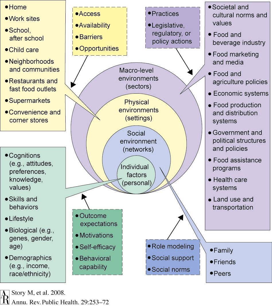Ecological Framework for