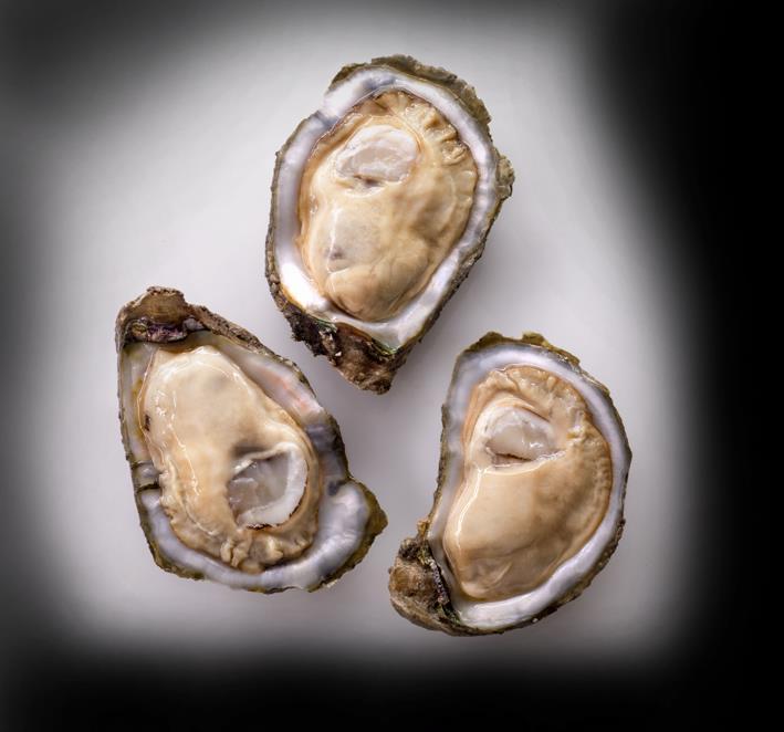 Illness: Paralytic shellfish poisoning Food commonly linked: shellfish found in colder