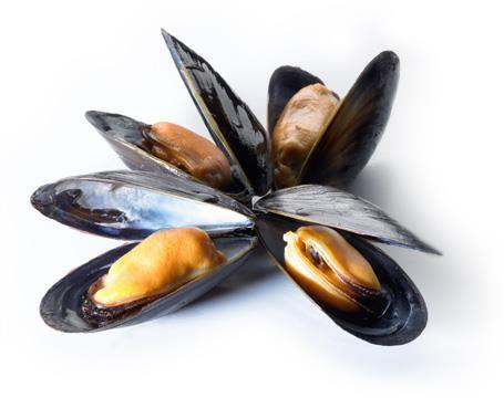 Illness: Neurotoxic shellfish poisoning Food commonly linked: Shellfish found in the warmer waters of