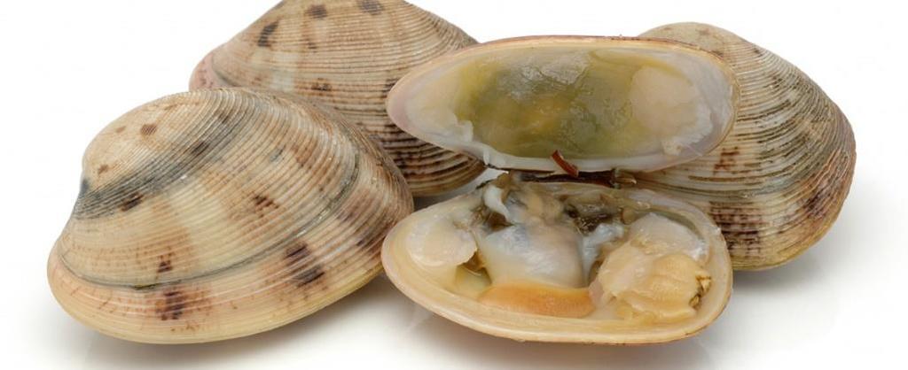 Illness: Amnesic shellfish poisoning Food commonly linked: Shellfish found in the coastal waters of the Pacific Northwest and the east coast of Canada- clams, oysters, mussels, scallops