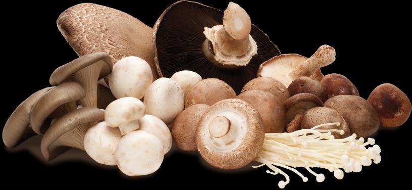 Foodborne illnesses linked with mushrooms are almost always caused by eating toxic