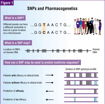 Take Home Message What is a SNP? Location of SNPs on human DNA Human DNA How can a SNP map be used to predict food drug intervention? response?