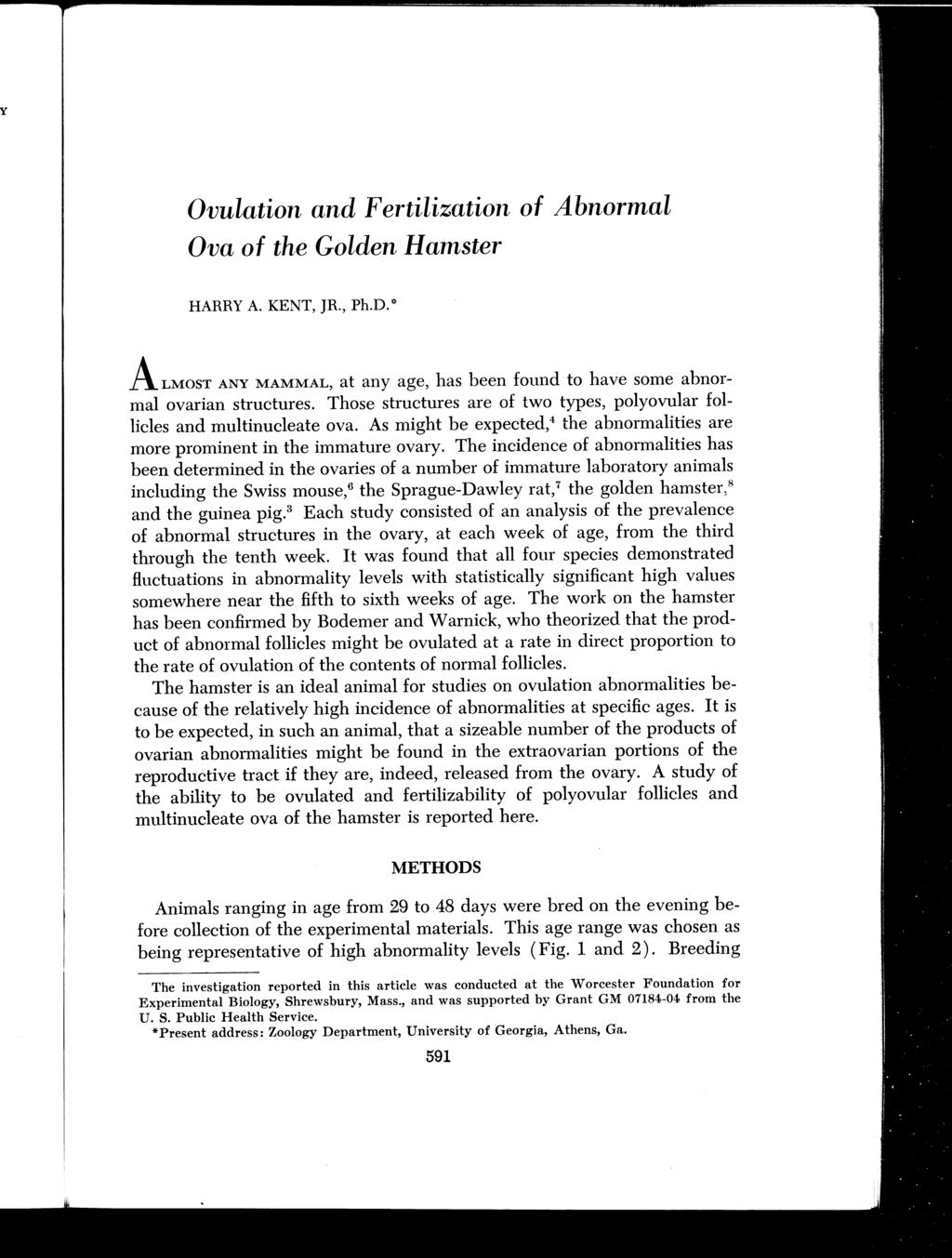 Ovulation and Fertilization of Abnormal Ova of the Golden Hamster HARRY A. KENT, JR., Ph.D." A LMOST ANY MAMMAL, at any age, has been found to have some abnormal ovarian structures.