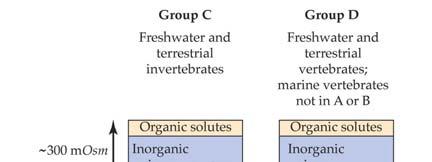 Ionic & Osmotic Homeostasis osmoregulation mechanisms in gills, salt