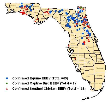 EEE in Florida, 2009 Through 10/10/09 69 horses, 1