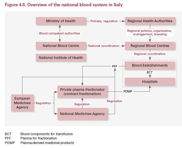 THE ITALIAN BLOOD SYSTEM According to 21