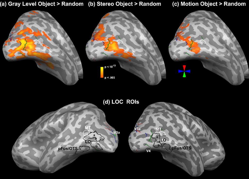 Figure 3: Selective responses to objects across multiple visual cues in the LOC. Top: Statistical maps of objects > random (P < 0.