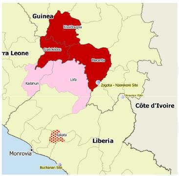 Ebola In Liberia 8 cases reported by MOH to WHO (04/01/2014) 2 confirmed cases in Lofa County 2 deaths