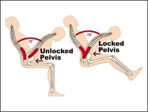 Muscle Isolation A pelvic restraint system limits involvement from the