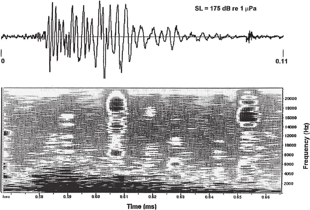 Discussion Sound pressure levels measured from these four behaviors indicated that natural, low-frequency, sounds produced by dolphins are louder than
