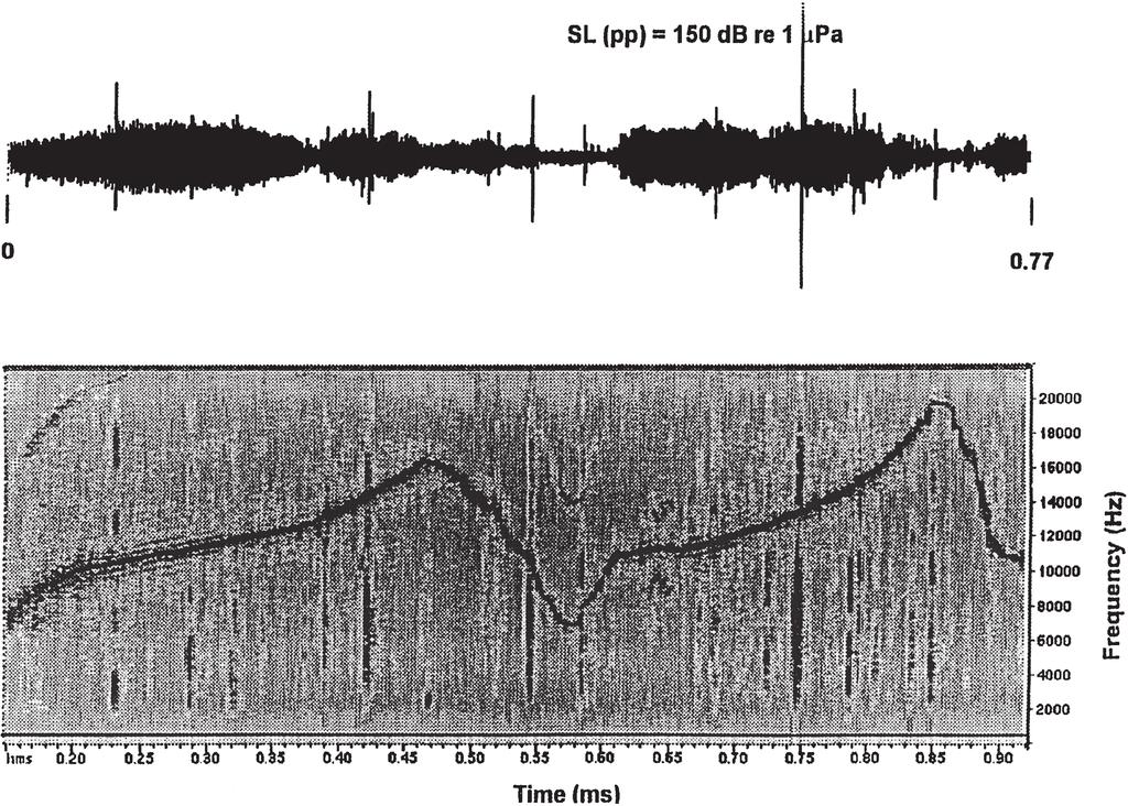 All of the recorded source levels greatly exceed the hearing thresholds for the bottlenose dolphin (Johnson, 1996), at the appropriate frequencies and are therefore