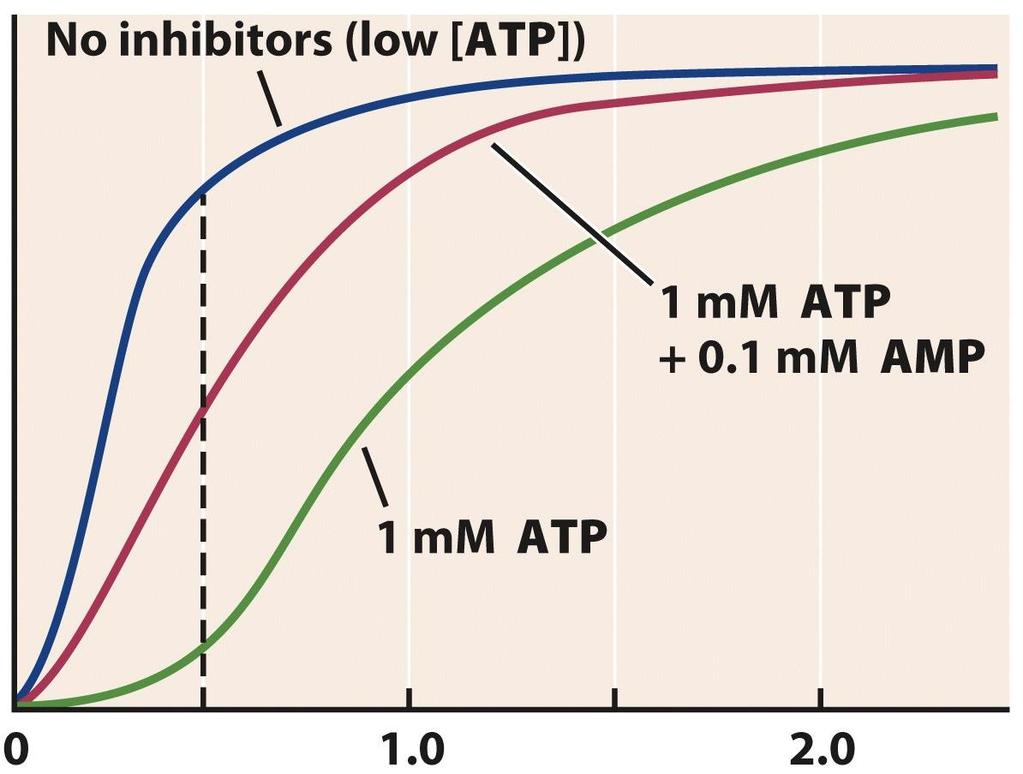 Allosteric Regulation of PFK PFK Activity In respiring muscle: [ATP]/[ADP] ~ 10:1 F6P / mm - PFK is allsoterically inhibited by ATP a built-in control to ensure that when ATP is in excess (there is