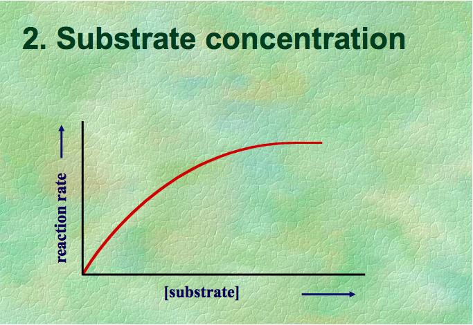 Substrate Concentration As [substrate] increases, so does reaction rate More substrate means more